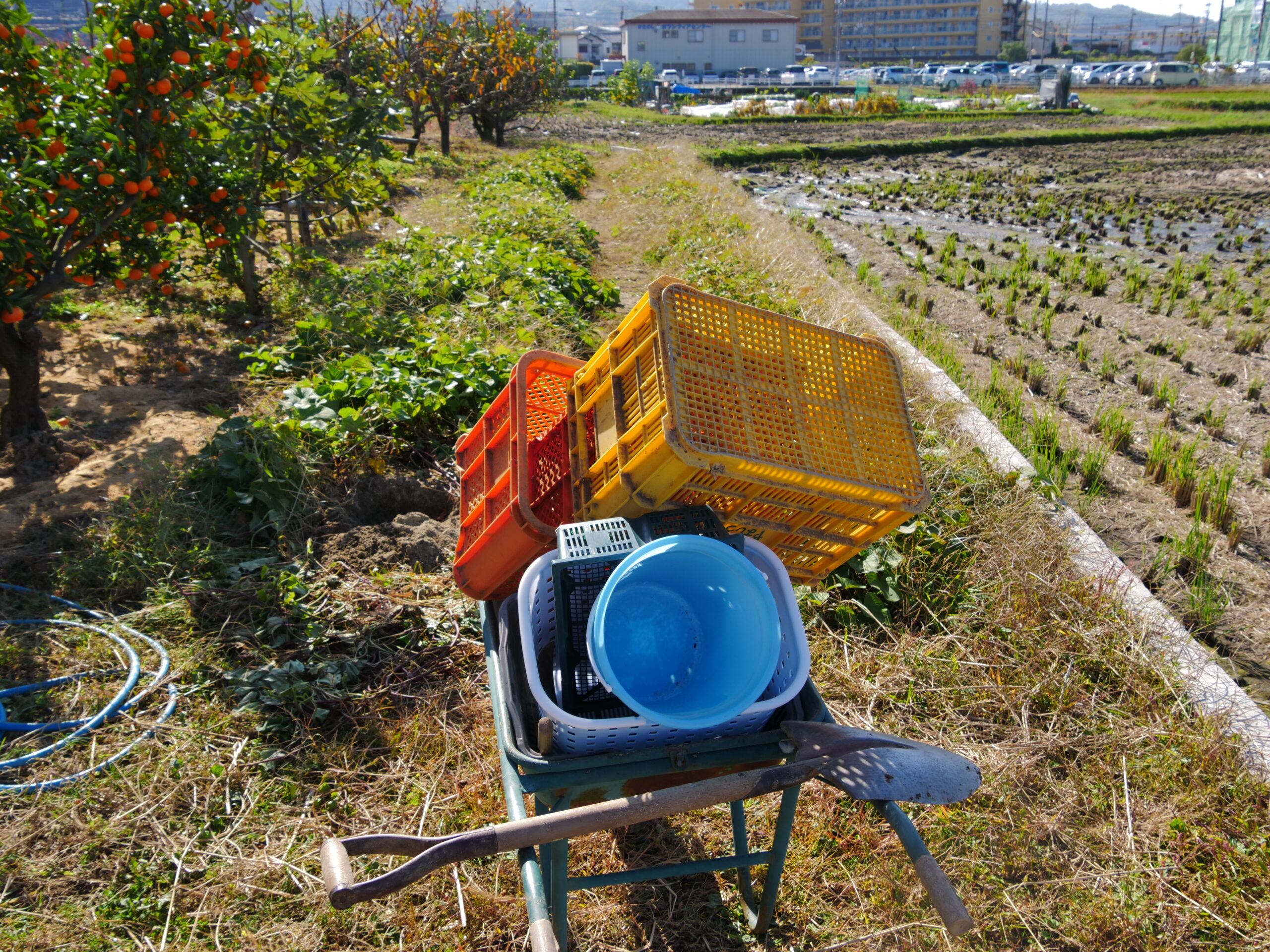 各都道府県の農業の上位生産品目（日本一周準備編）