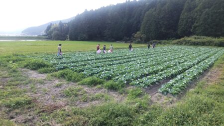 97日目　2022-9-16【日本一周農業旅】