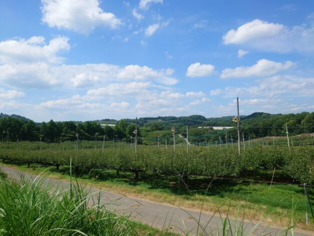 世羅町 （広島県世羅町）