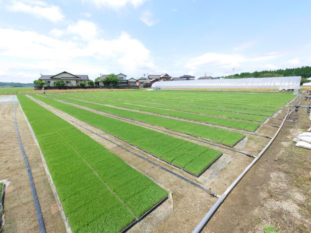 613日目　2025-5-22【日本一周農業旅 熊本編】