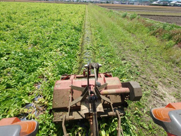 622日目　2025-5-31【日本一周農業旅 熊本編】