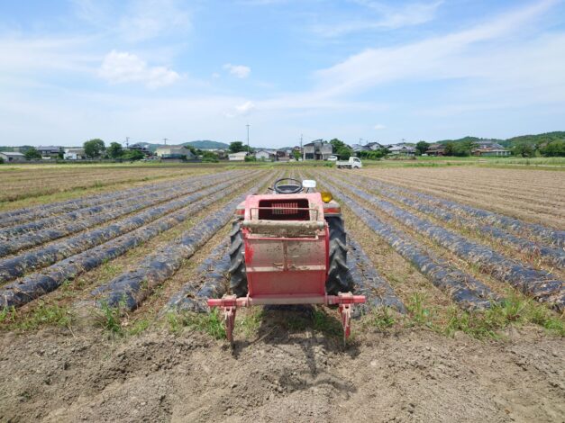 641日目　2025-6-19【日本一周農業旅 熊本編】