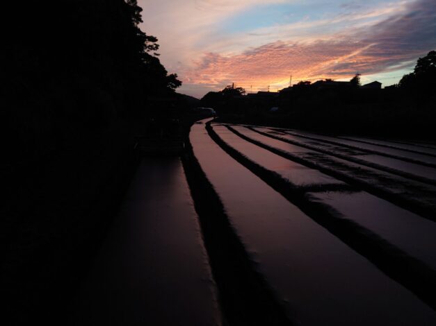764日目　2025-10-20【日本一周農業旅 長崎編】
