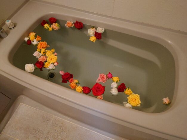 777日目　2025-11-2【日本一周農業旅 長崎編】