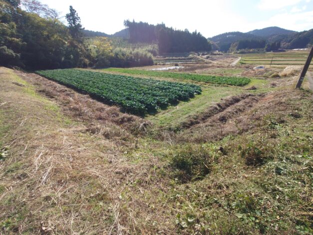 797日目　2025-11-22【日本一周農業旅 山口編】