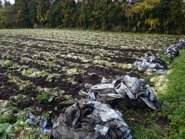 803日目　2025-11-28【日本一周農業旅 山口編】