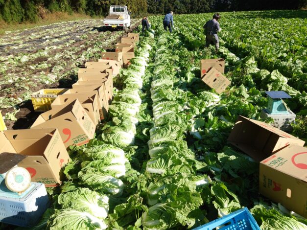 白松農園（山口県阿武町）