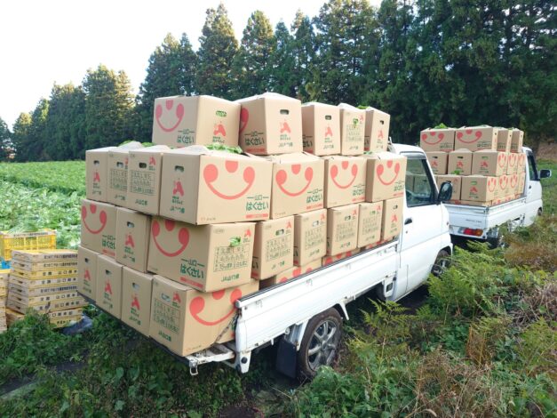 805日目　2025-11-30【日本一周農業旅 山口編】