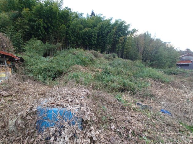 809日目　2025-12-4【日本一周農業旅 山口編】