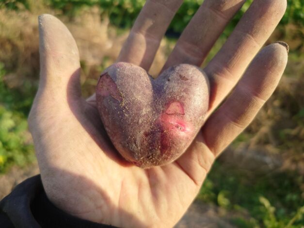 812日目　2025-12-7【日本一周農業旅 山口編】