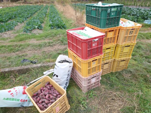 813日目　2025-12-8【日本一周農業旅 山口編】