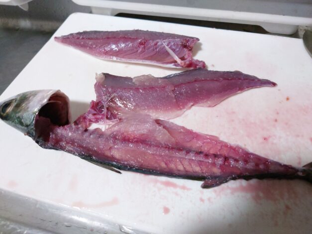 814日目　2025-12-9【日本一周農業旅 山口編】