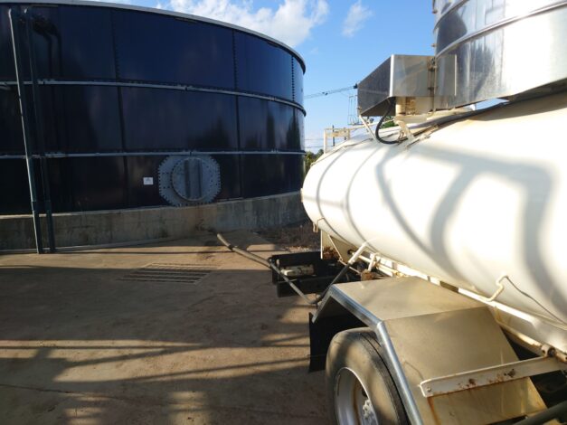 沖縄で越冬(南大東島編) season1 　2025-12-28