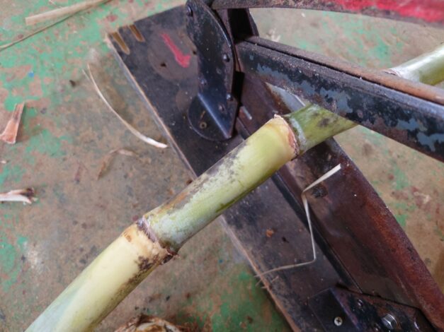 沖縄で越冬(南大東島編) season1 　2026-1-6