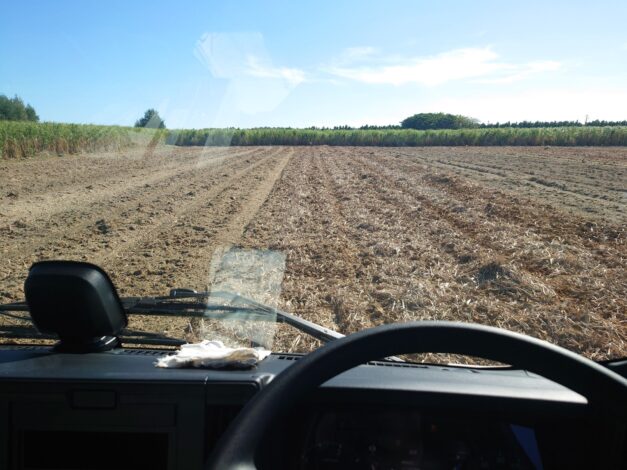 沖縄で越冬(南大東島編) season1 　2026-1-17