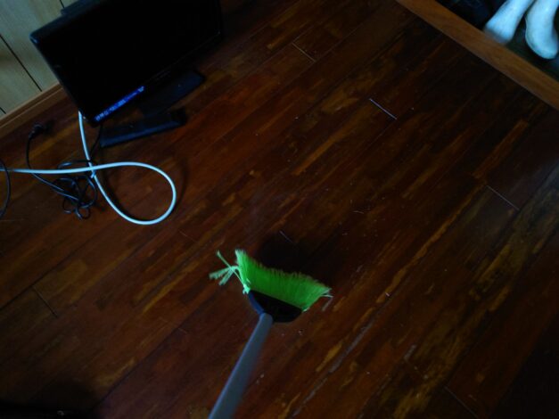 沖縄で越冬(南大東島編) season1 　2026-1-20