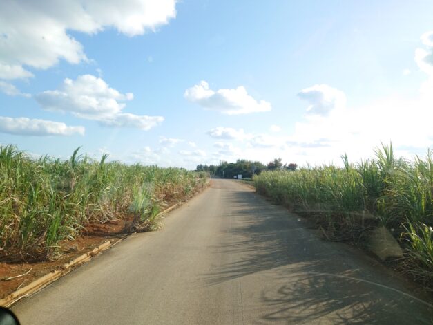 沖縄で越冬(南大東島編) season1 　2026-1-24