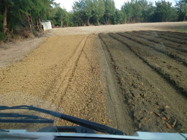 沖縄で越冬(南大東島編) season1 2026-1-31