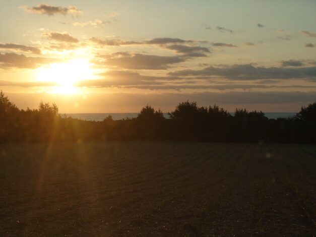 沖縄で越冬(南大東島編) season1 　2026-2-4