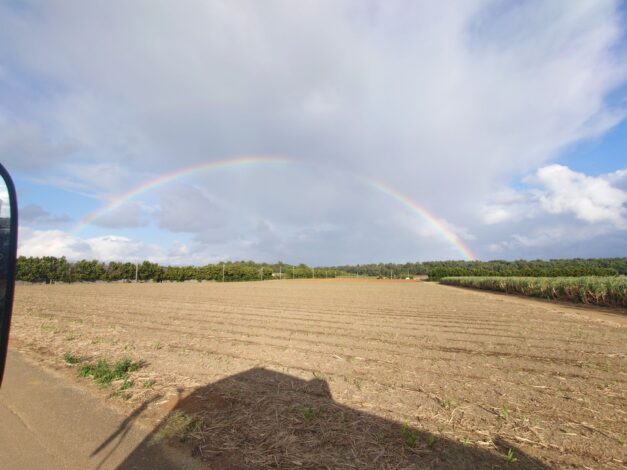 沖縄で越冬(南大東島編) season1 　2026-2-8