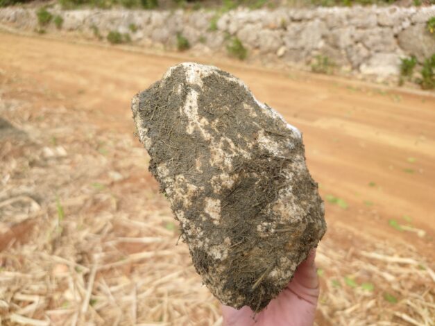 沖縄で越冬(南大東島編) season1 　2026-2-10