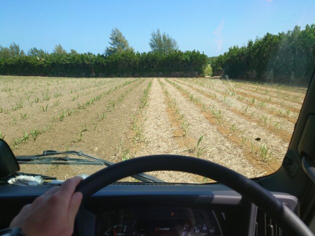 沖縄で越冬(南大東島編) season1 2026-2-22