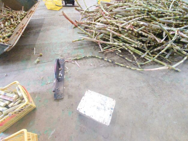 沖縄で越冬(南大東島編) season1 2026-2-25