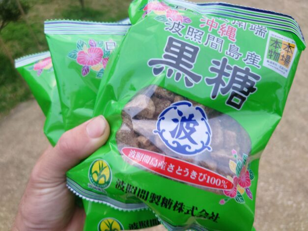 沖縄で越冬(南大東島編) season1 2026-2-27