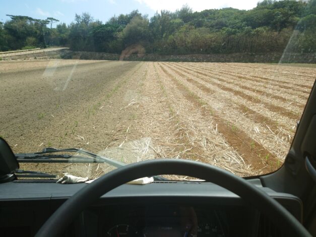 沖縄で越冬(南大東島編) season1 　2026-2-28