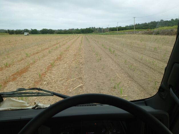 沖縄で越冬(南大東島編) season1 2026-3-2