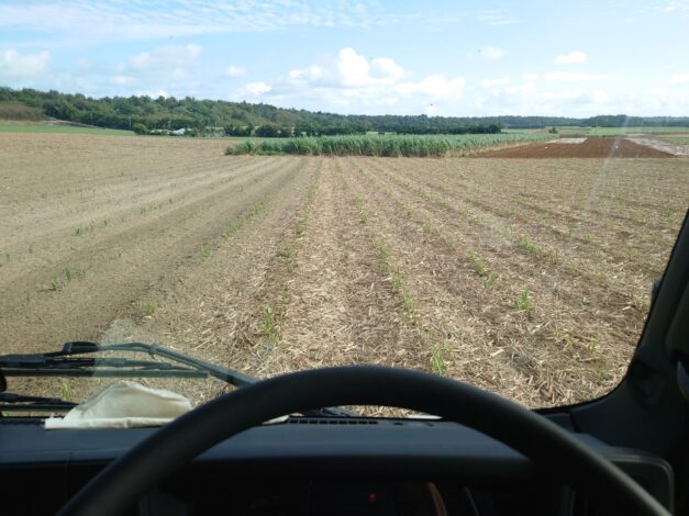 沖縄で越冬(南大東島編) season1 2026-3-3