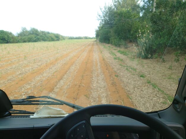 沖縄で越冬(南大東島編) season1 　2026-3-5