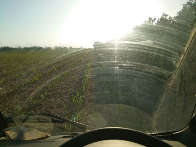 沖縄で越冬(南大東島編) season1 2026-3-8