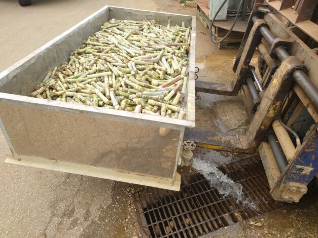 沖縄で越冬(南大東島編) season1 　2026-3-9