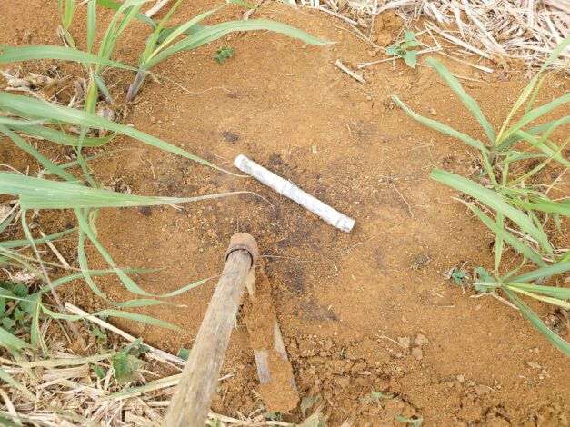 沖縄で越冬(南大東島編) season1 　2026-3-13