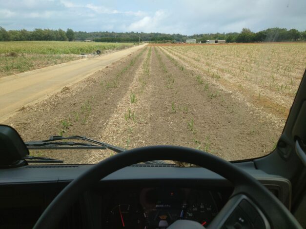 沖縄で越冬(南大東島編) season1 2026-3-20