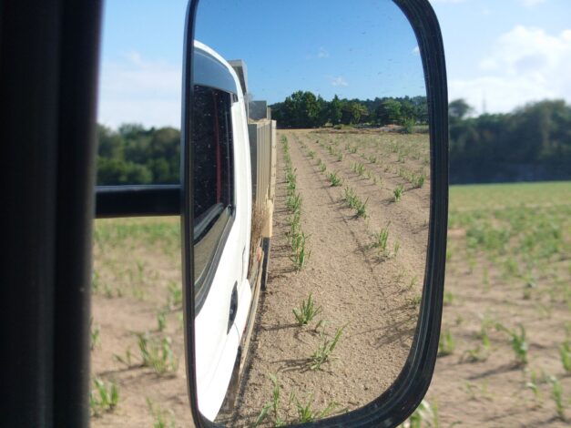 沖縄で越冬(南大東島編) season1 2026-3-26